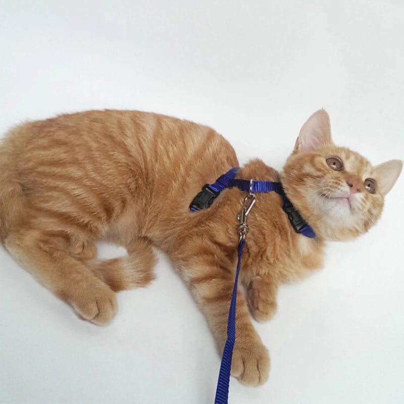 Convenient Cat Set Harness & Leash