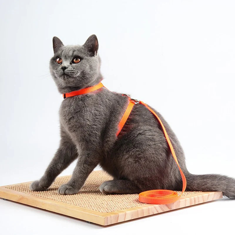 Convenient Cat Set Harness & Leash