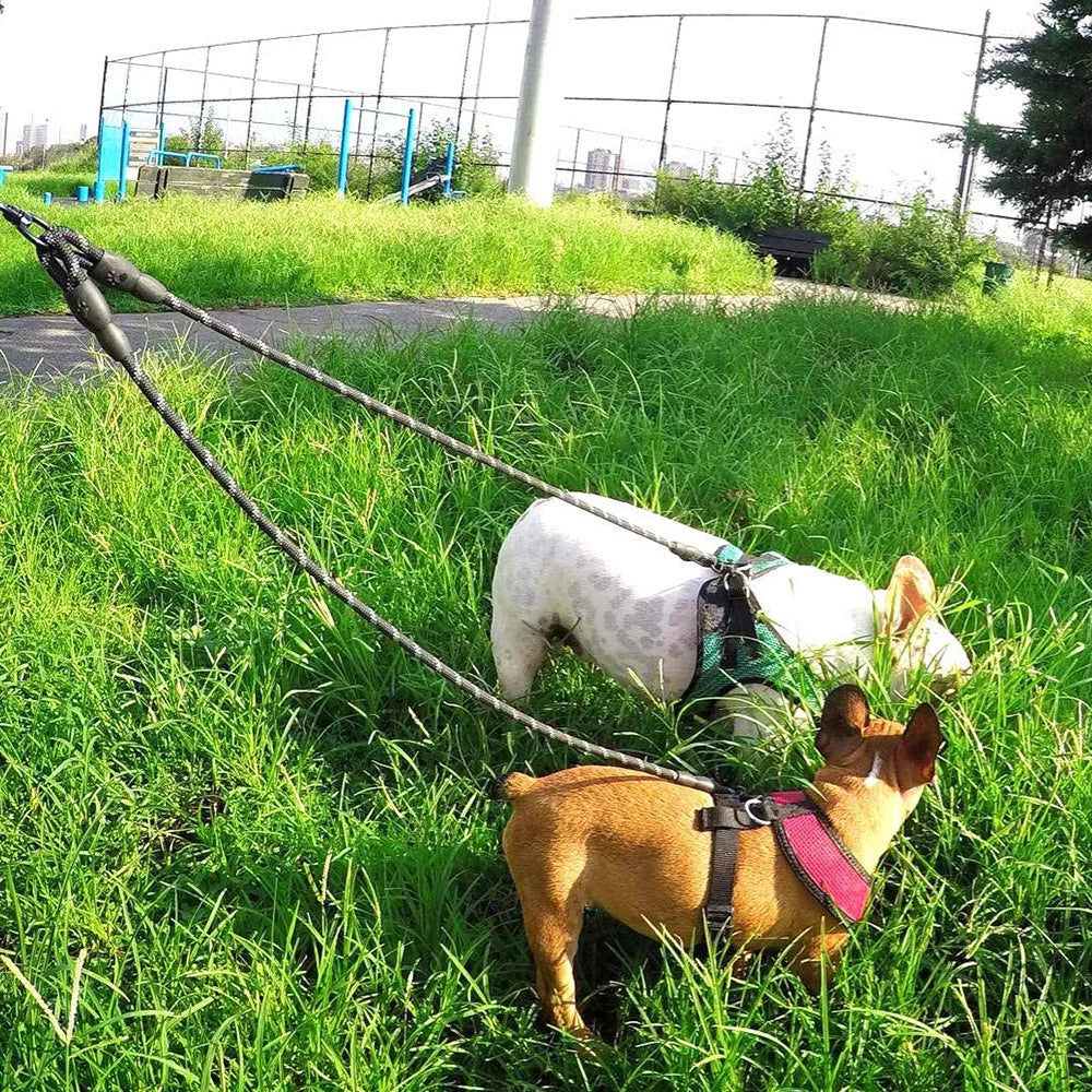 Walking Dogs Collars Reflective Dual Leash