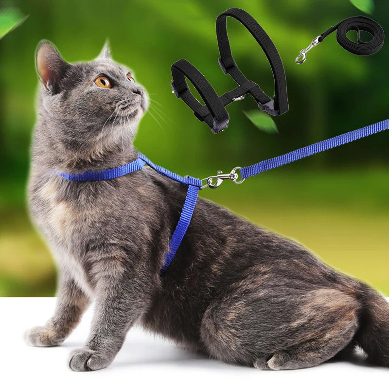 Convenient Cat Set Harness & Leash