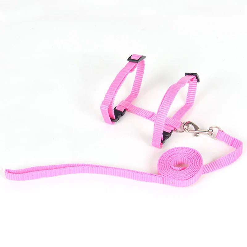 Convenient Cat Set Harness & Leash