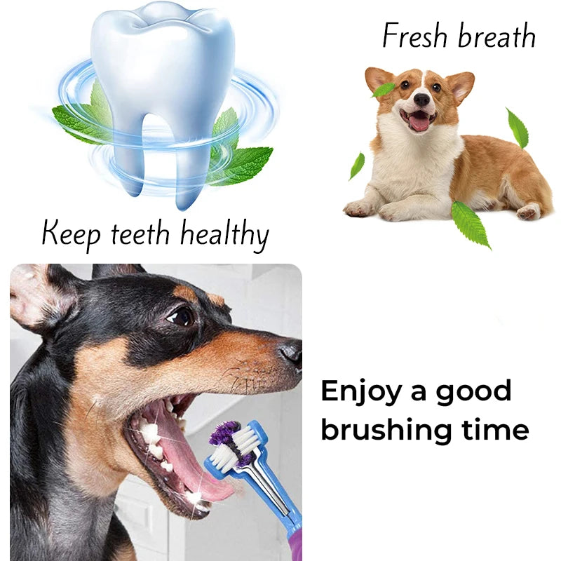 Three-Head Multi-angle Sided Pet Toothbrush