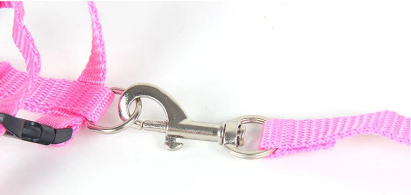 Convenient Cat Set Harness & Leash