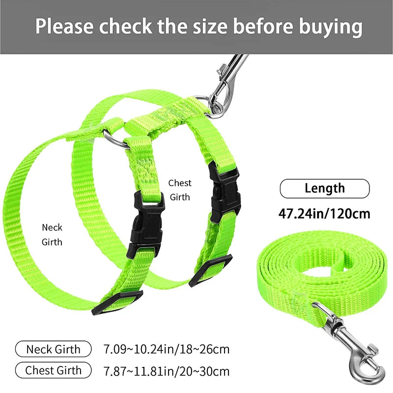Convenient Cat Set Harness & Leash