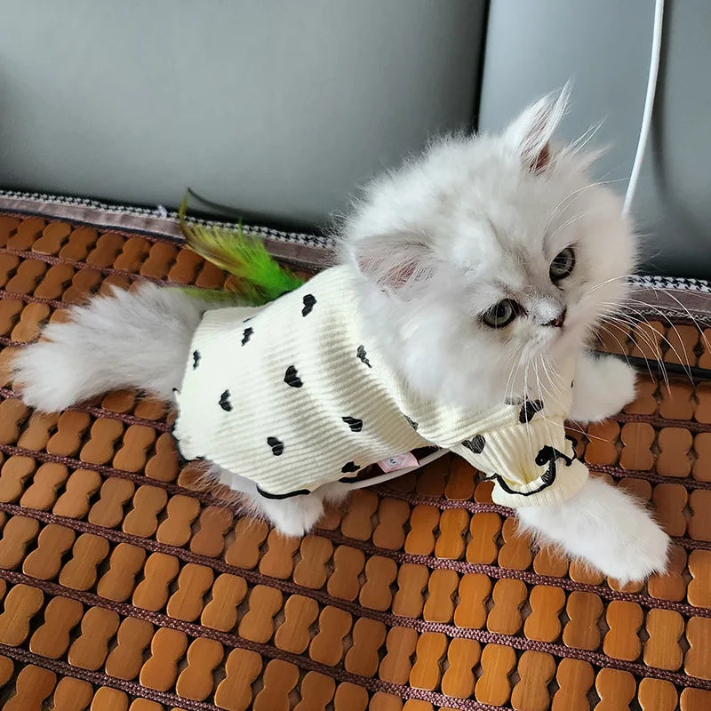 Cozy Cotton Sphynx Cat Sweater