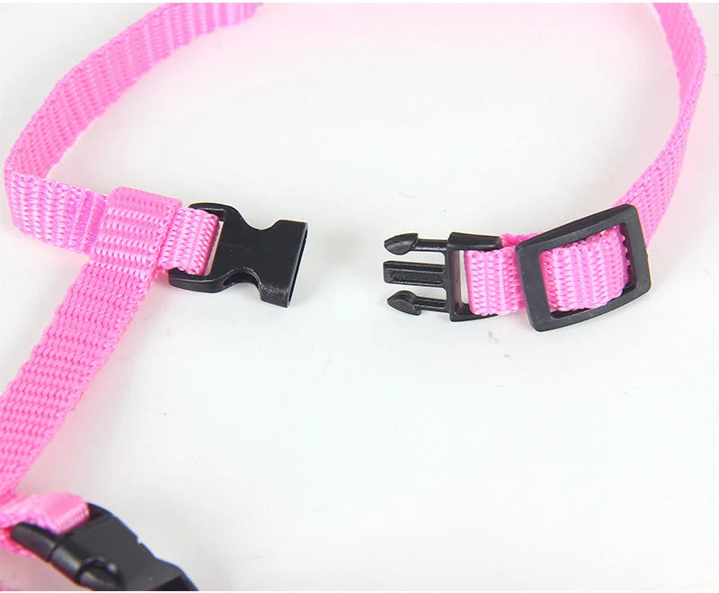 Convenient Cat Set Harness & Leash