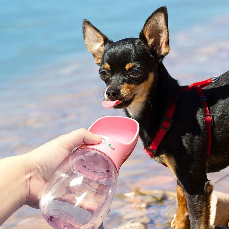 Travel Dog & Cat Drinking Bowl
