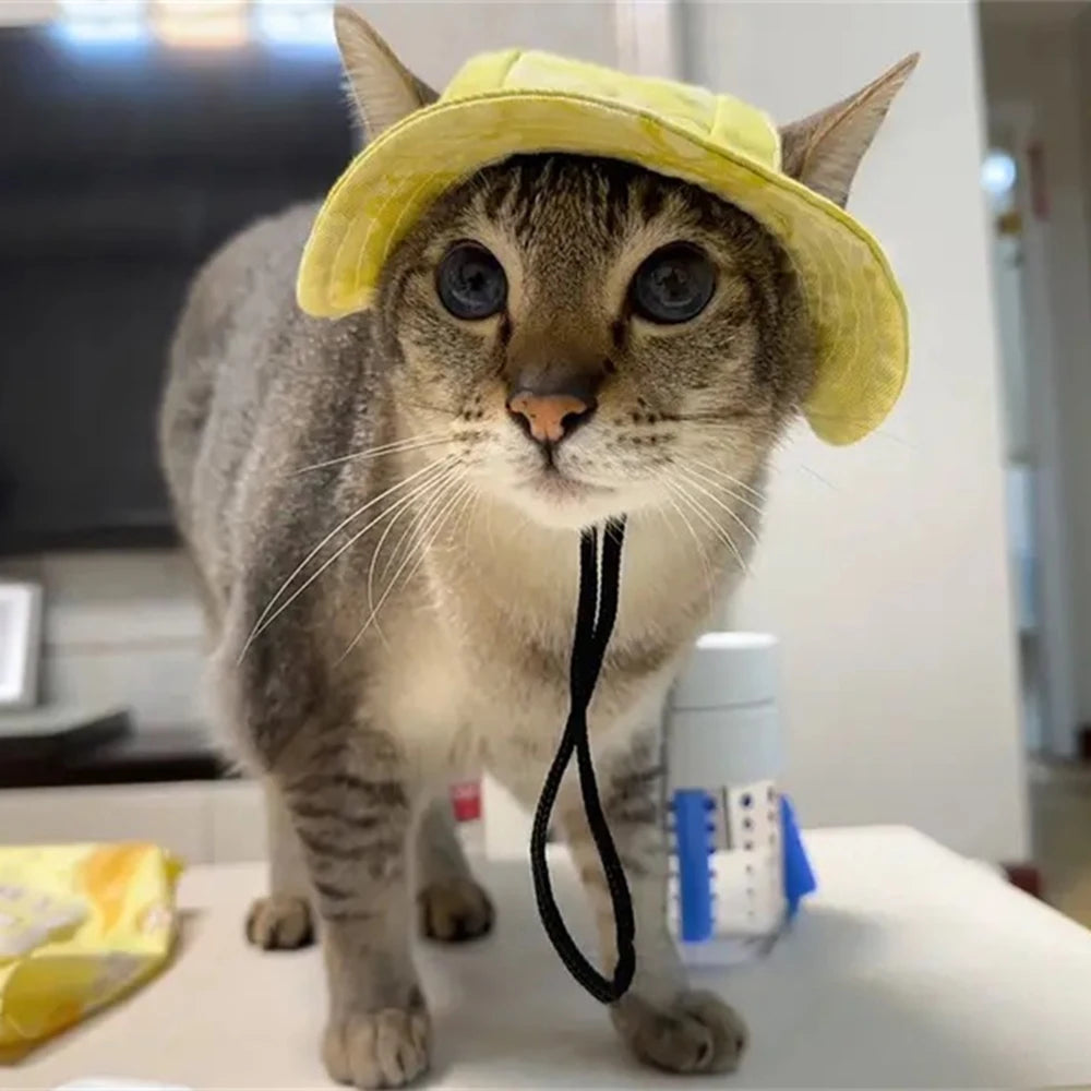 Cat Costume Hats with Ear Holes Tie-dyed
