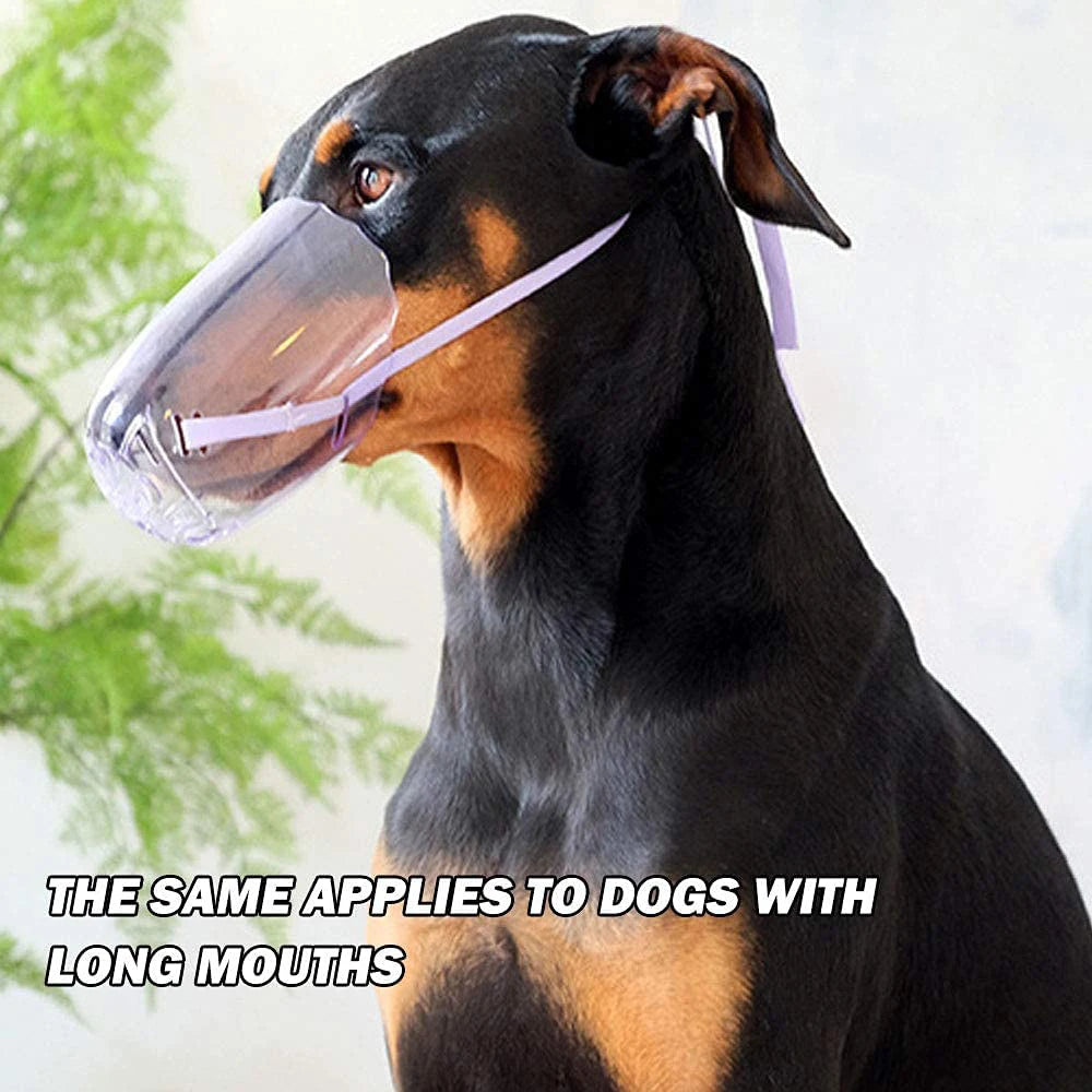 Breathable Cat Muzzle Mouth Guard From Biting & Chewing Grooming Restraint