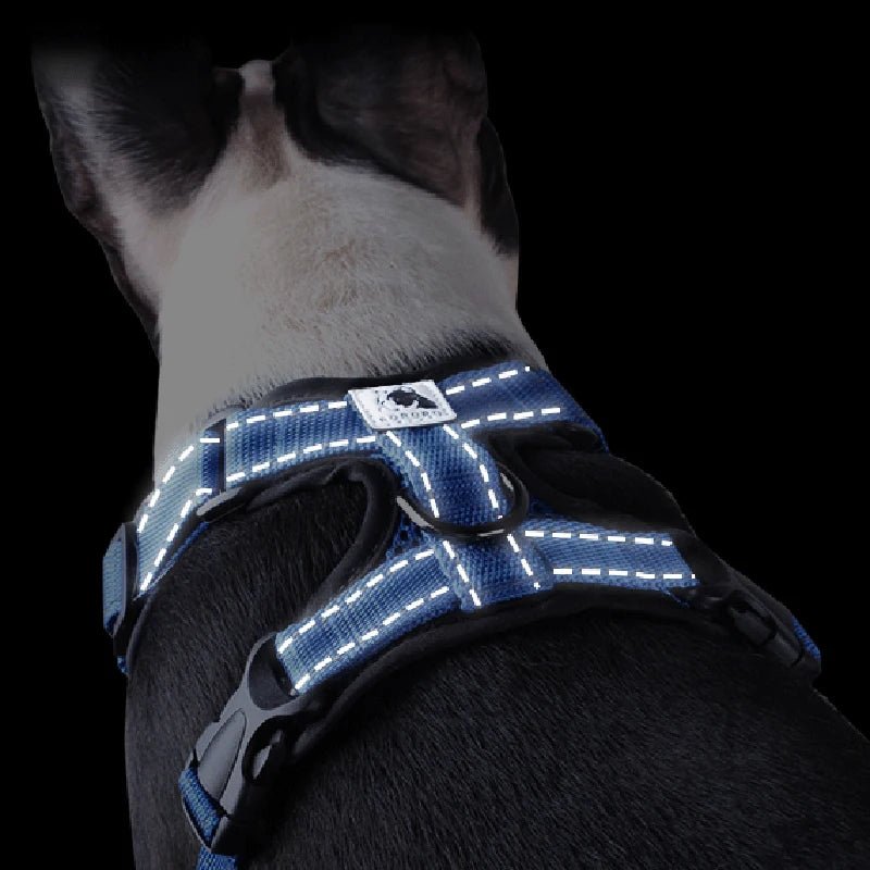 Summer Reflective Dog Harness