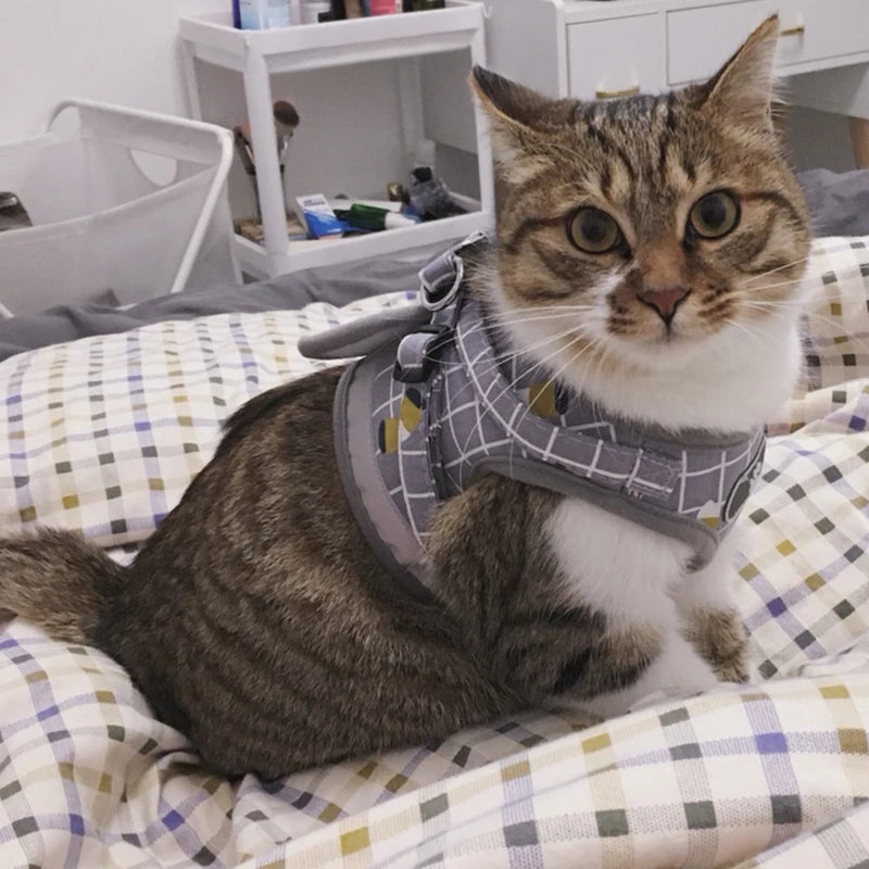 Summer Fashion Plaid Mesh Cat Harnesses