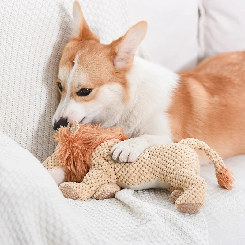 Squeaky Pet Toys