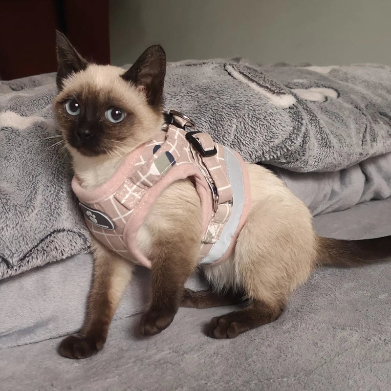 Summer Fashion Plaid Mesh Cat Harnesses