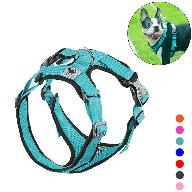 Summer Reflective Dog Harness