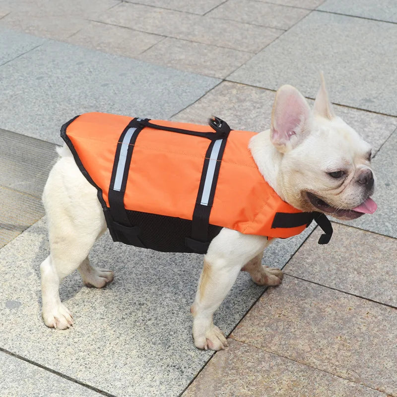 Summer Reflective Dog Life Vest