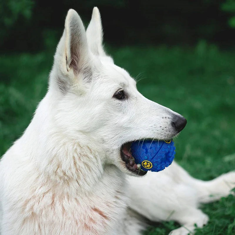 Pet Squeaker Missing food Ball