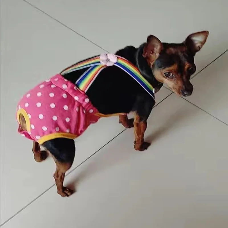 Chihuahua Pinscher Physiological Panties