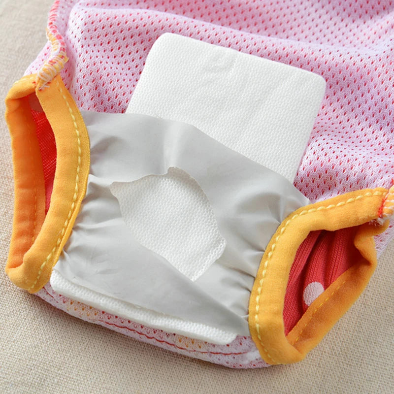 Chihuahua Pinscher Physiological Panties