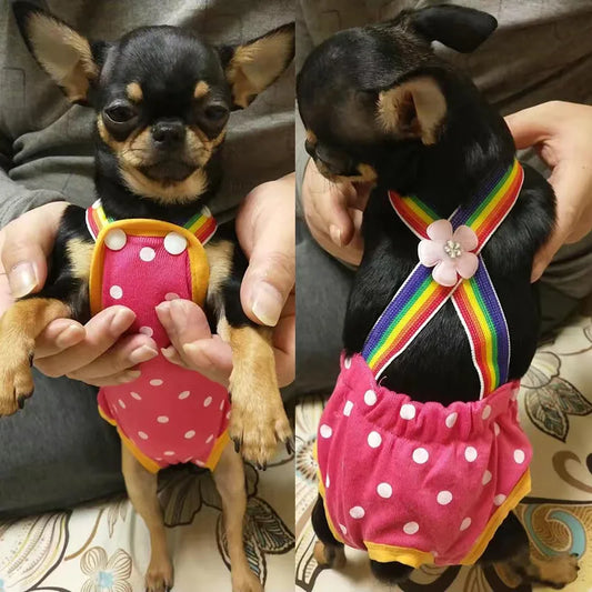 Chihuahua Pinscher Physiological Panties