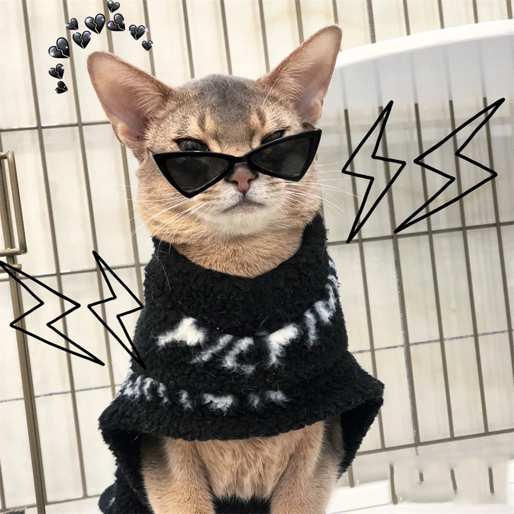 Handsome Cat Triangle Sunglasses