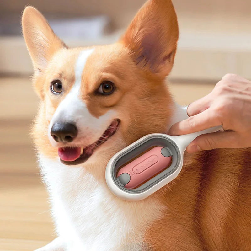 Clean Cat&Dog Hair Removal Comb with Wipes Upgraded