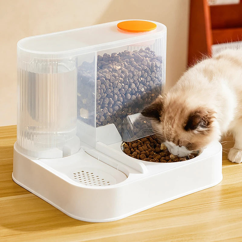 Wet and Dry Separation Large Capacity Cat Automatic Feeder