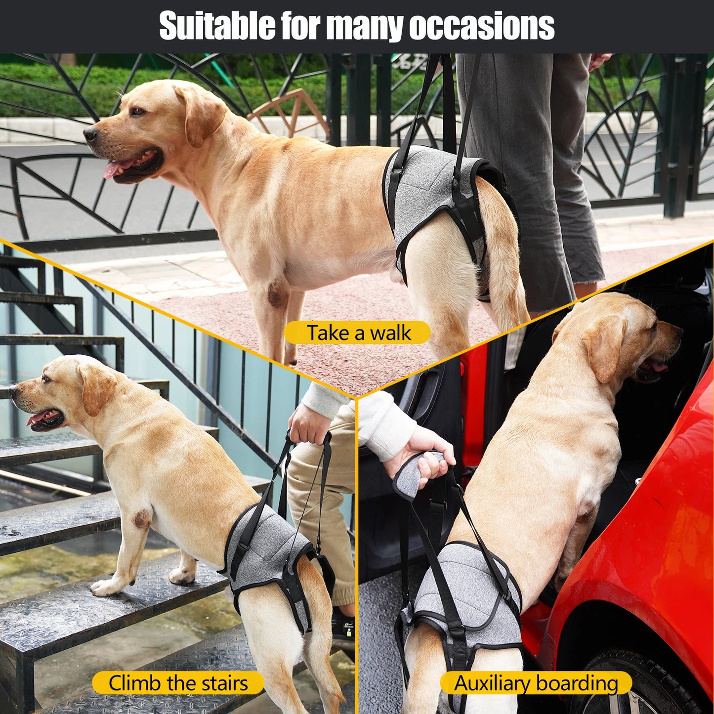 Adjustable Dog Lift Harness for Back Support