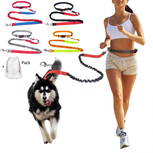 Dog Free Hands Running Supplies Elastic Nylon Leash