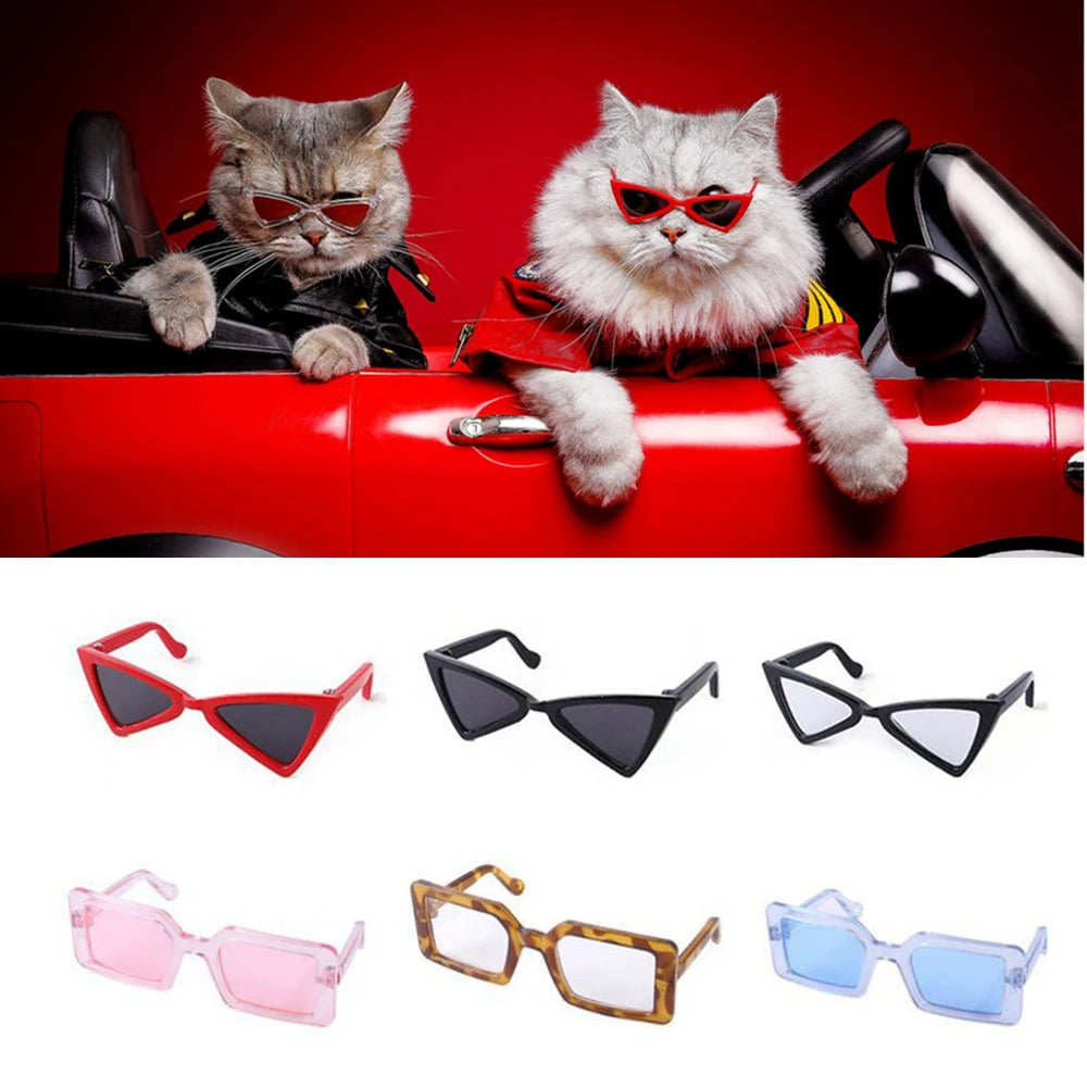 Handsome Cat Triangle Sunglasses