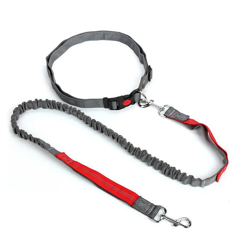 Dog Free Hands Running Supplies Elastic Nylon Leash