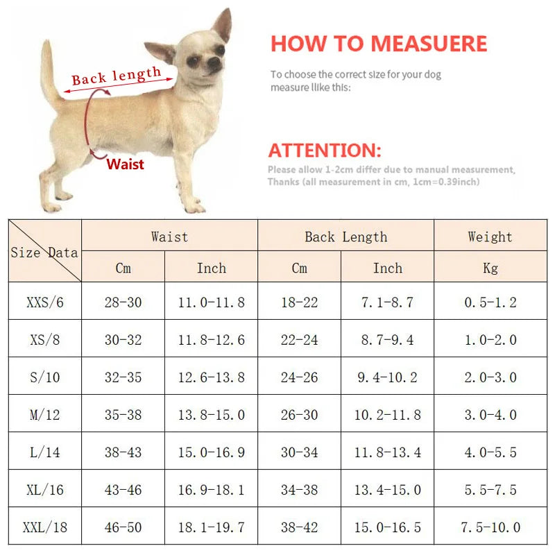 Chihuahua Pinscher Physiological Panties