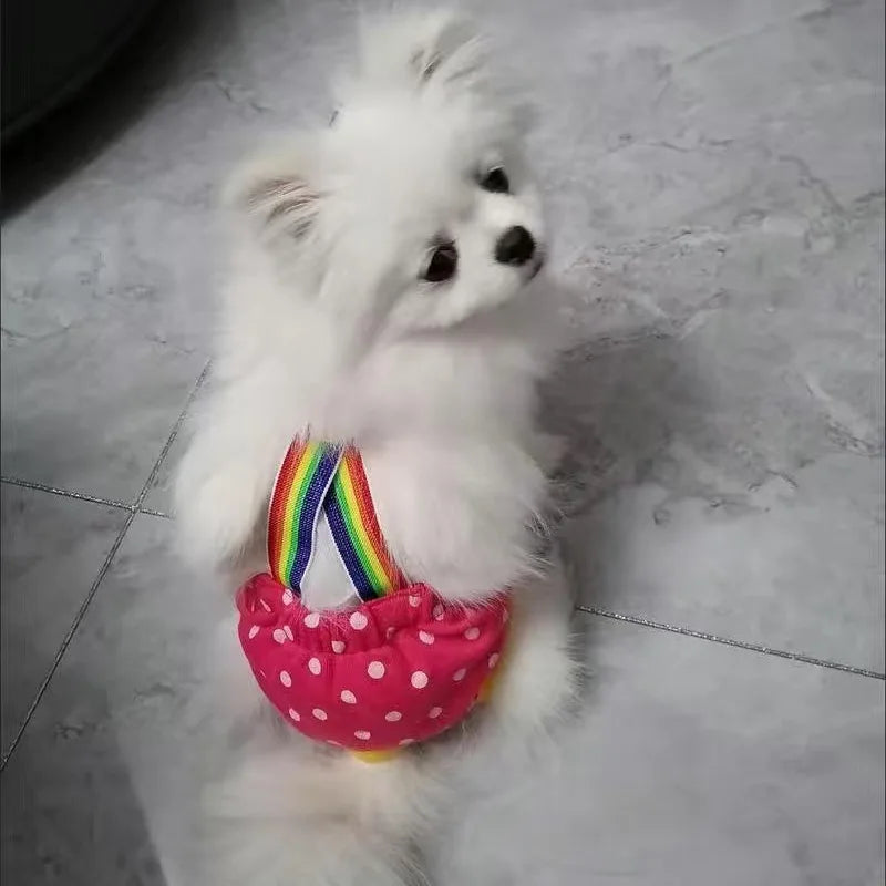 Chihuahua Pinscher Physiological Panties